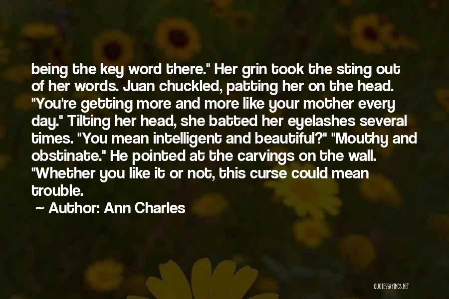 Beautiful Words Or Quotes By Ann Charles