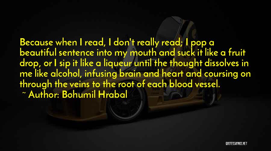 Beautiful Words Or Quotes By Bohumil Hrabal