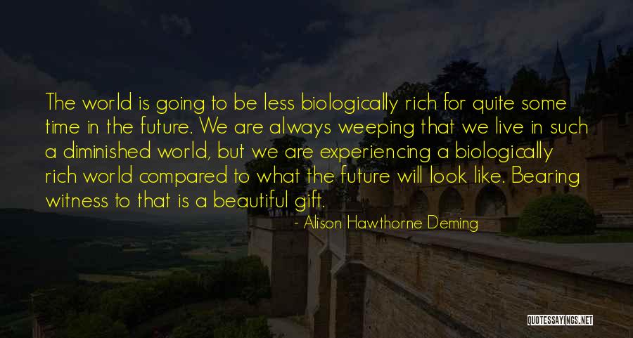 Beautiful World We Live In Quotes By Alison Hawthorne Deming Beautiful World We Live In Quotes By Alison Hawthorne Deming