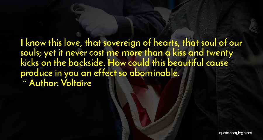 Beautiful You And Me Quotes By Voltaire