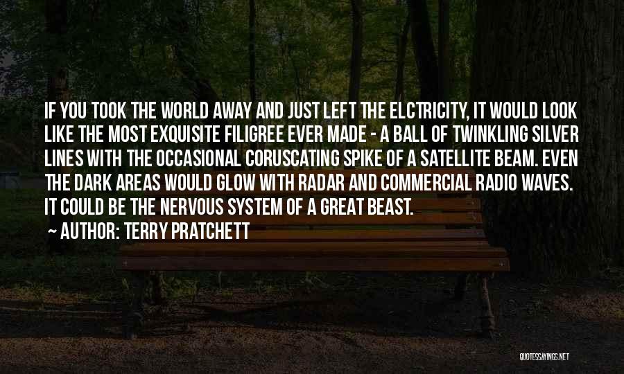 Beautiful You Quotes By Terry Pratchett