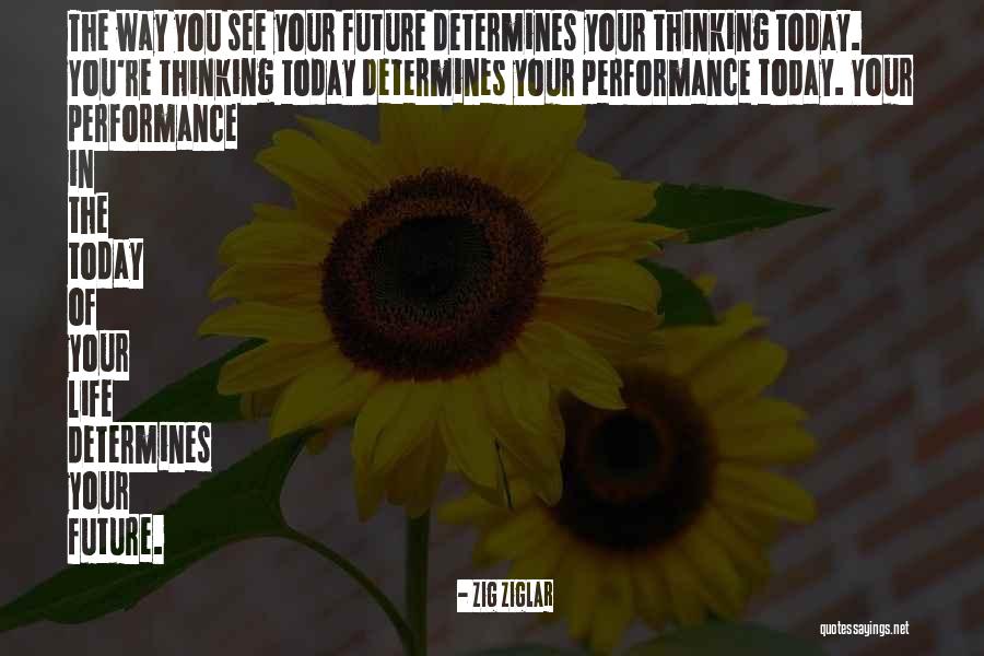 Beautifulest Cat Quotes By Zig Ziglar Beautifulest Cat Quotes By Zig Ziglar