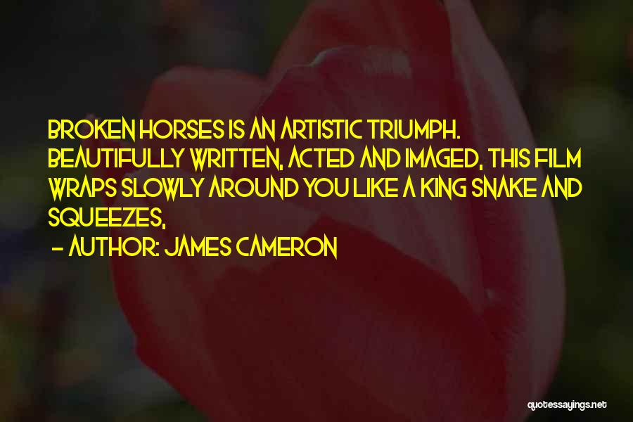 Beautifully Broken Quotes By James Cameron