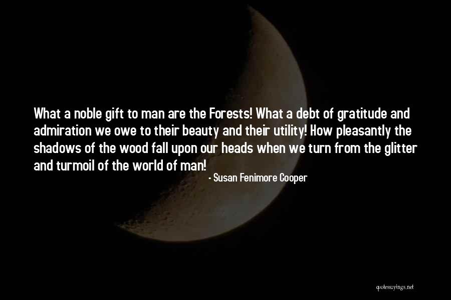 Beauty Admiration Quotes By Susan Fenimore Cooper