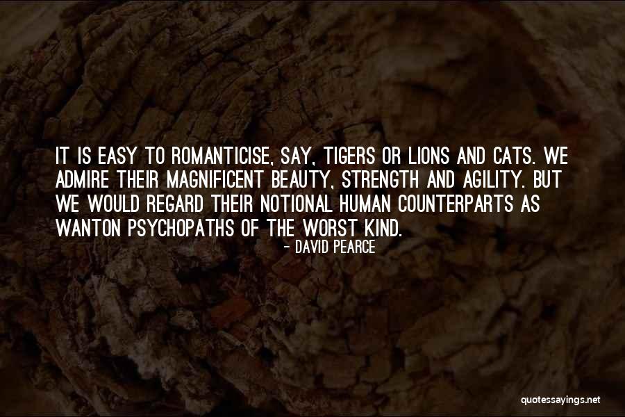 Beauty Admire Quotes By David Pearce Beauty Admire Quotes By David Pearce