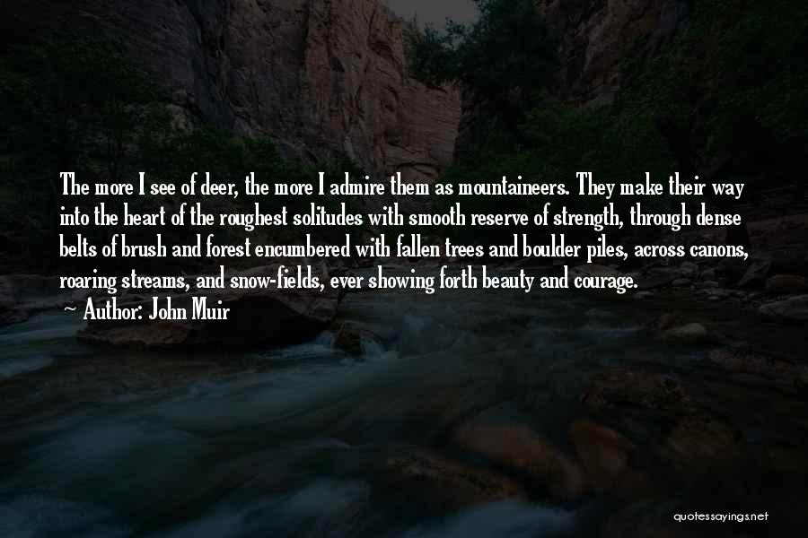 Beauty Admire Quotes By John Muir