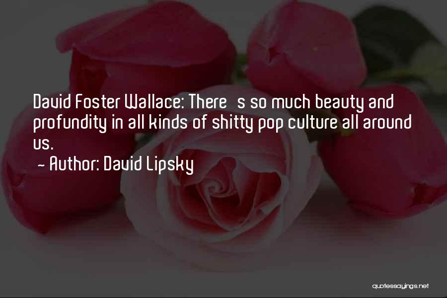 Beauty All Around Us Quotes By David Lipsky