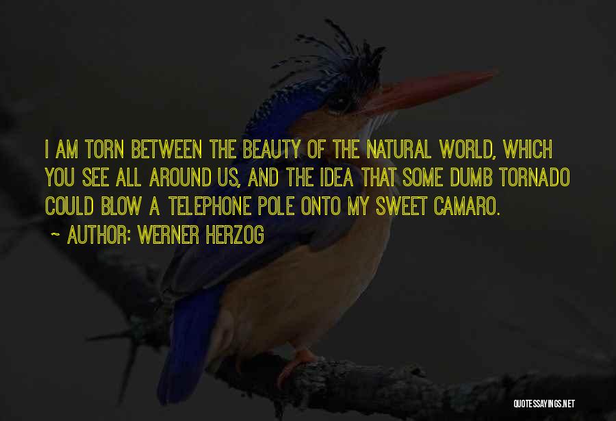 Beauty All Around Us Quotes By Werner Herzog