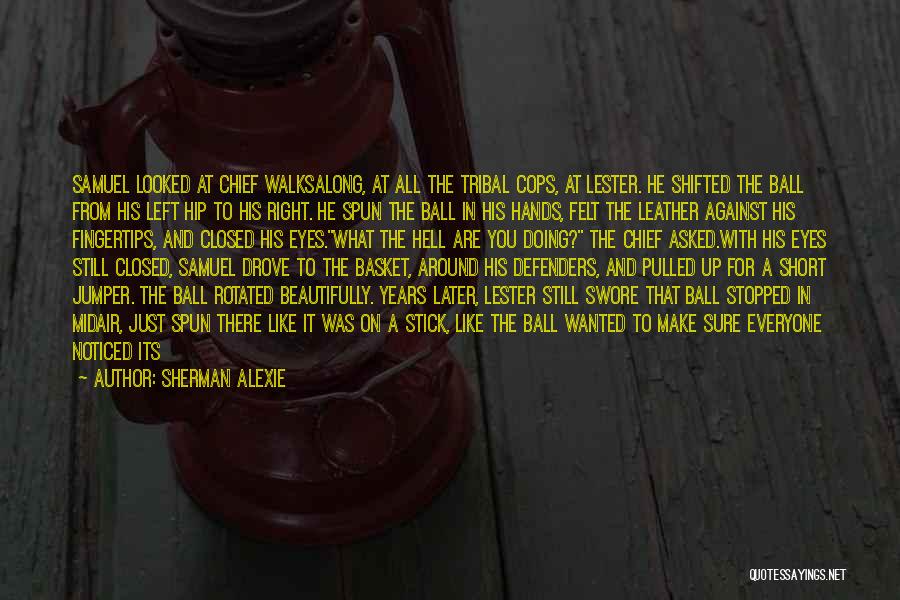 Beauty All Around You Quotes By Sherman Alexie