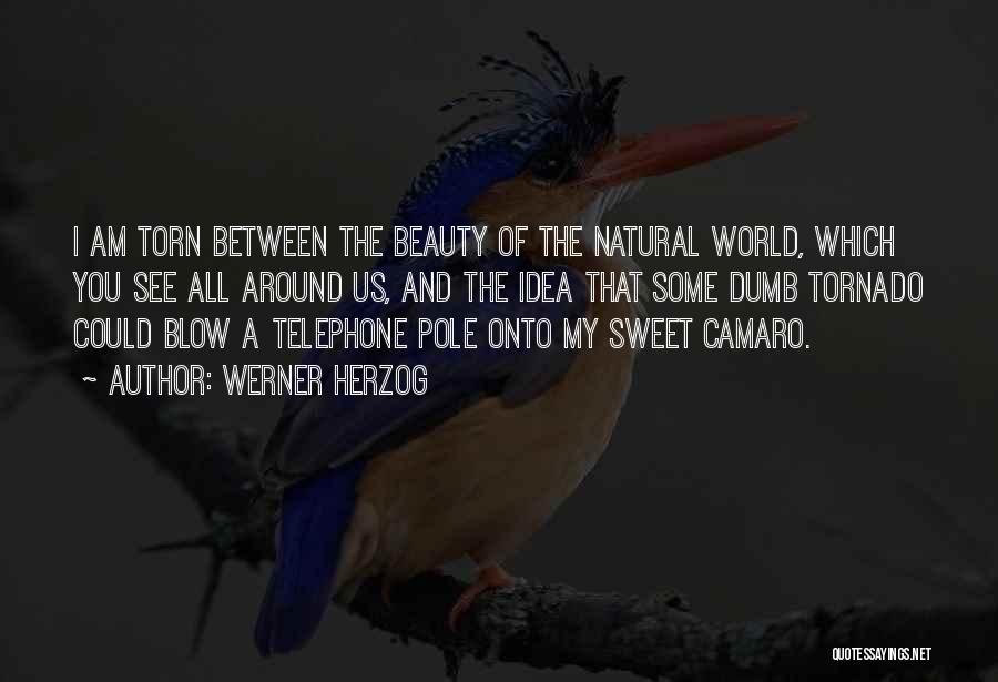 Beauty All Around You Quotes By Werner Herzog