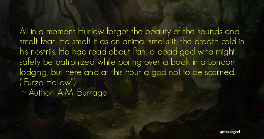 Beauty All Over Quotes By A.M. Burrage