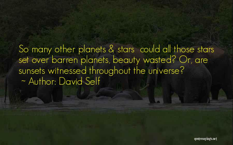 Beauty All Over Quotes By David Self