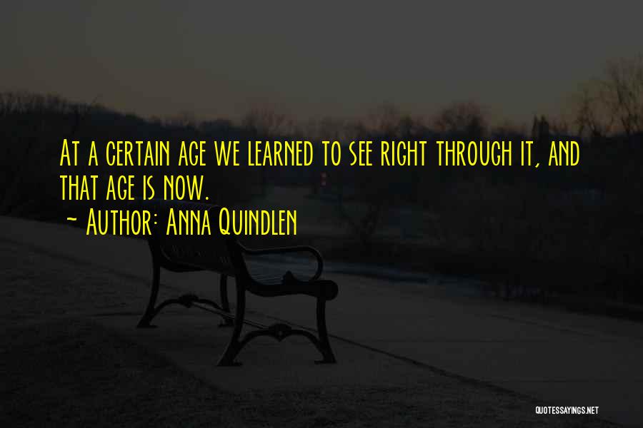 Beauty And Age Quotes By Anna Quindlen