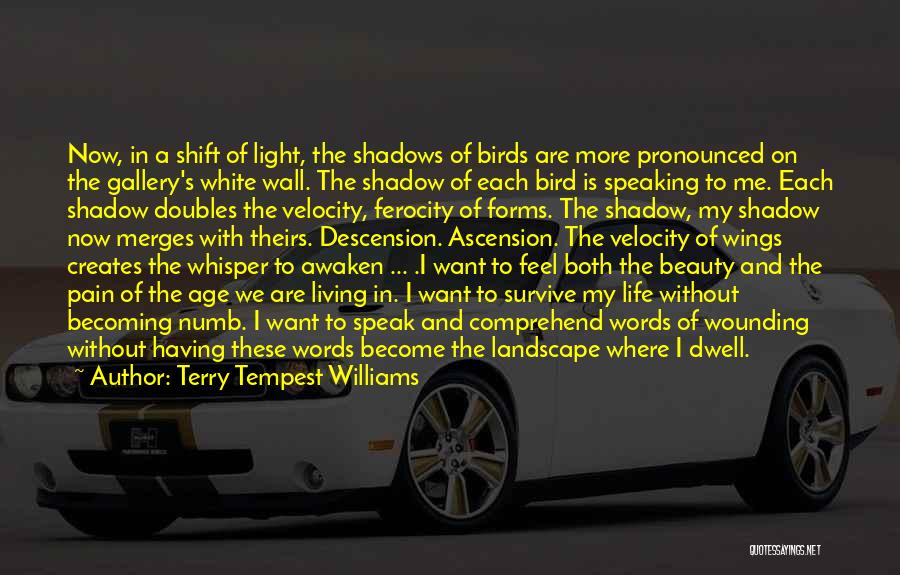 Beauty And Age Quotes By Terry Tempest Williams