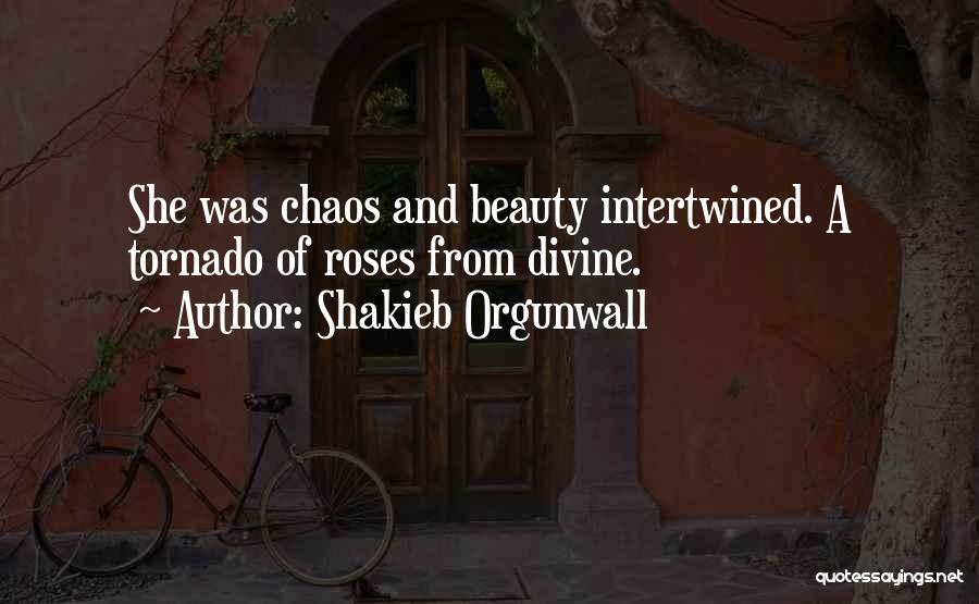 Beauty And Chaos Quotes By Shakieb Orgunwall