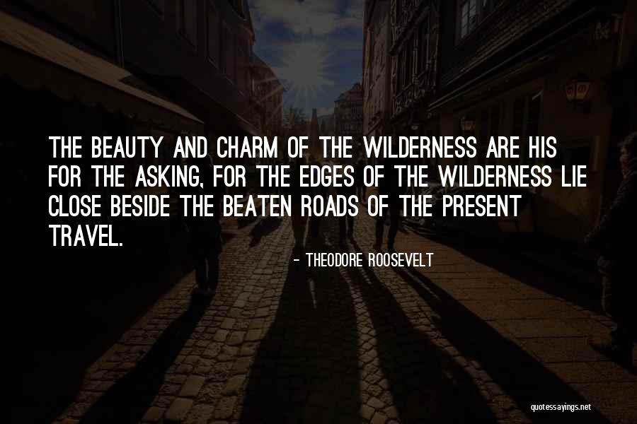 Beauty And Charm Quotes By Theodore Roosevelt