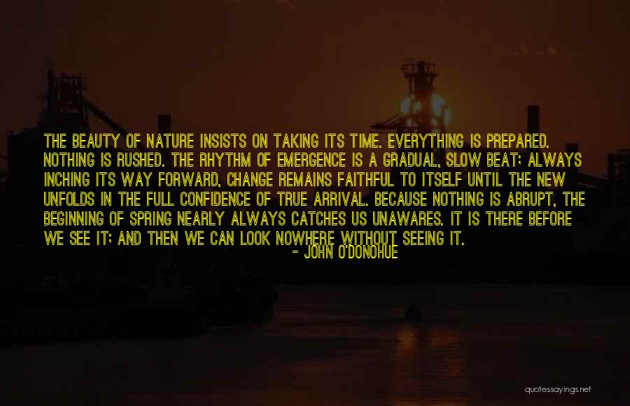 Beauty And Confidence Quotes By John O'Donohue Beauty And Confidence Quotes By John O'Donohue
