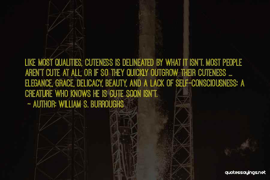 Beauty And Cute Quotes By William S. Burroughs