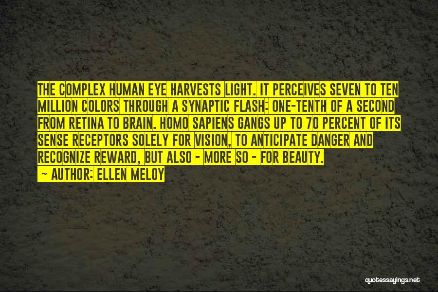Beauty And Danger Quotes By Ellen Meloy