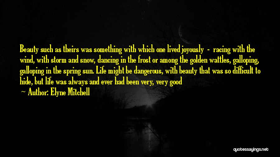 Beauty And Danger Quotes By Elyne Mitchell