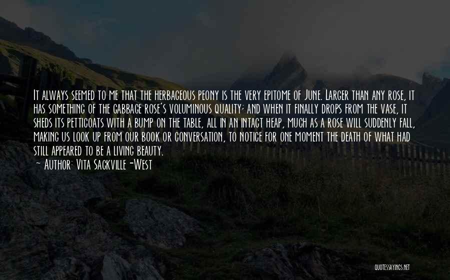 Beauty And Death Quotes By Vita Sackville-West