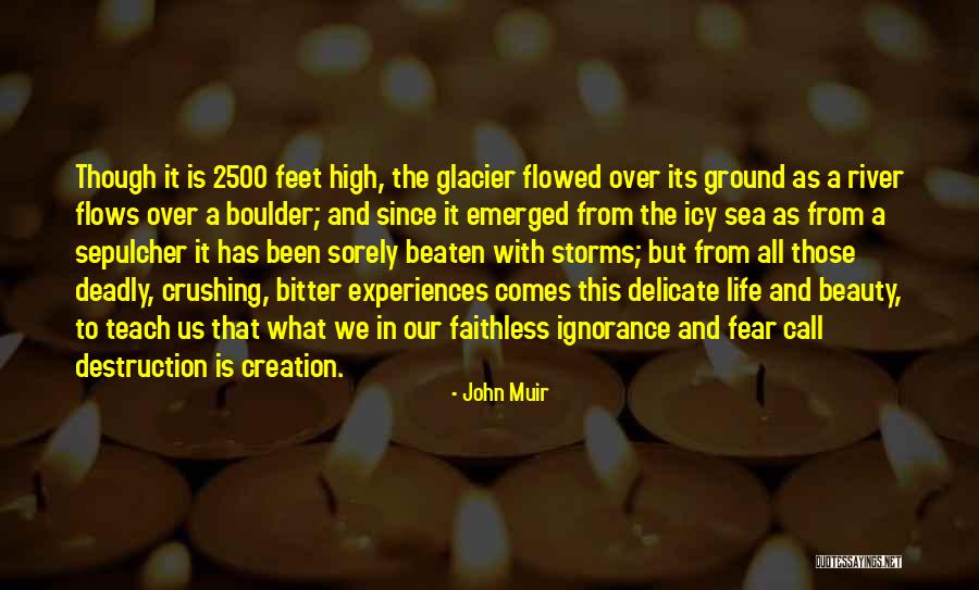 Beauty And Destruction Quotes By John Muir