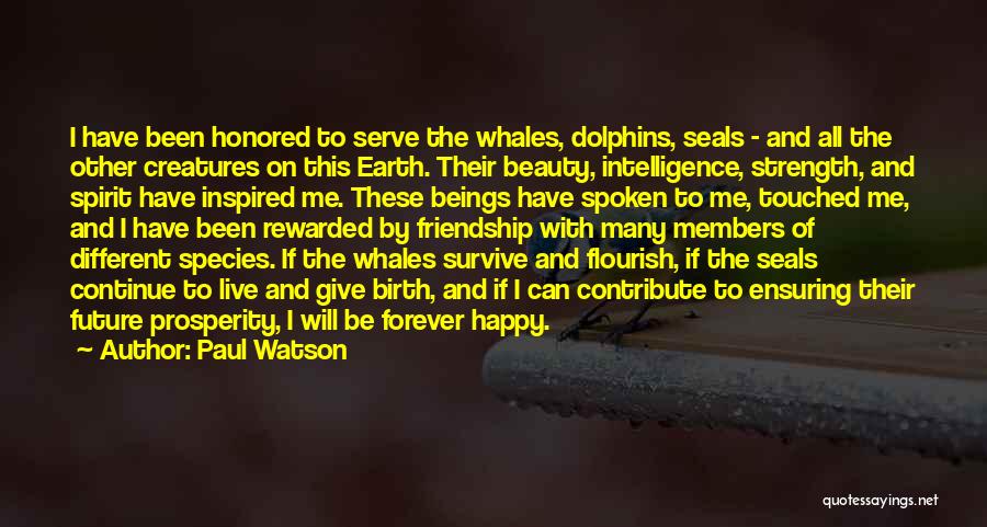 Beauty And Friendship Quotes By Paul Watson
