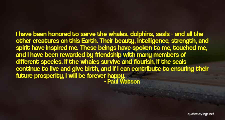 Beauty And Friendship Quotes By Paul Watson