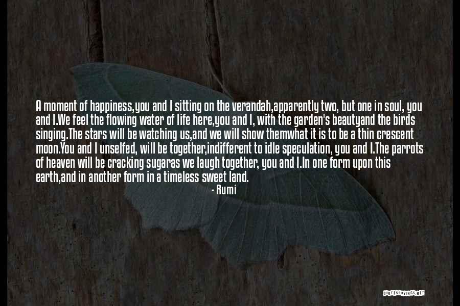 Beauty And Friendship Quotes By Rumi