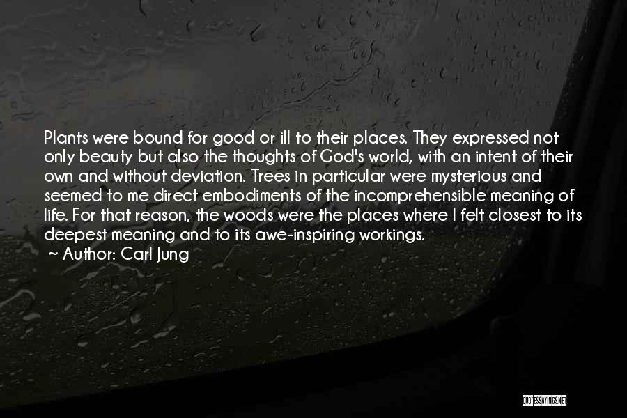 Beauty And God Quotes By Carl Jung