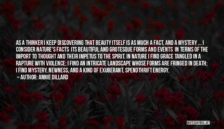 Beauty And Grace Quotes By Annie Dillard