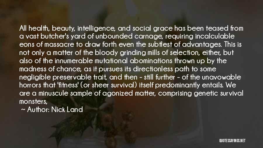 Beauty And Grace Quotes By Nick Land