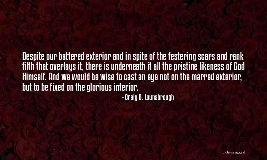 Beauty And Inner Beauty Quotes By Craig D. Lounsbrough