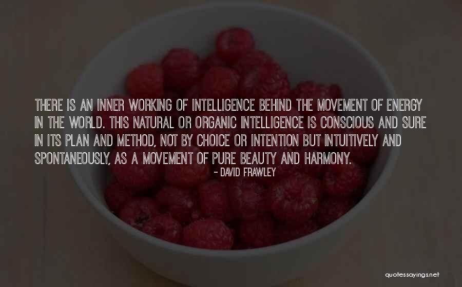 Beauty And Inner Beauty Quotes By David Frawley