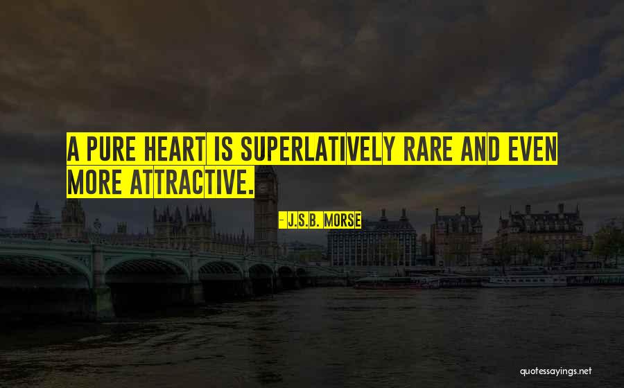 Beauty And Inner Beauty Quotes By J.S.B. Morse