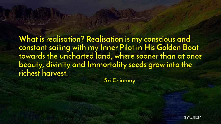 Beauty And Inner Beauty Quotes By Sri Chinmoy