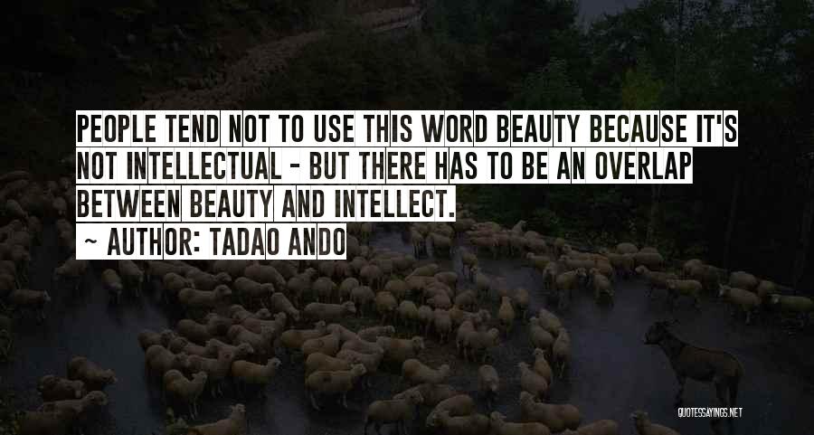 Beauty And Intellect Quotes By Tadao Ando