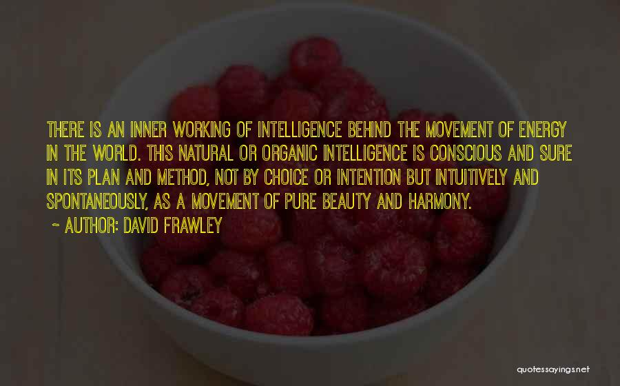 Beauty And Intelligence Quotes By David Frawley