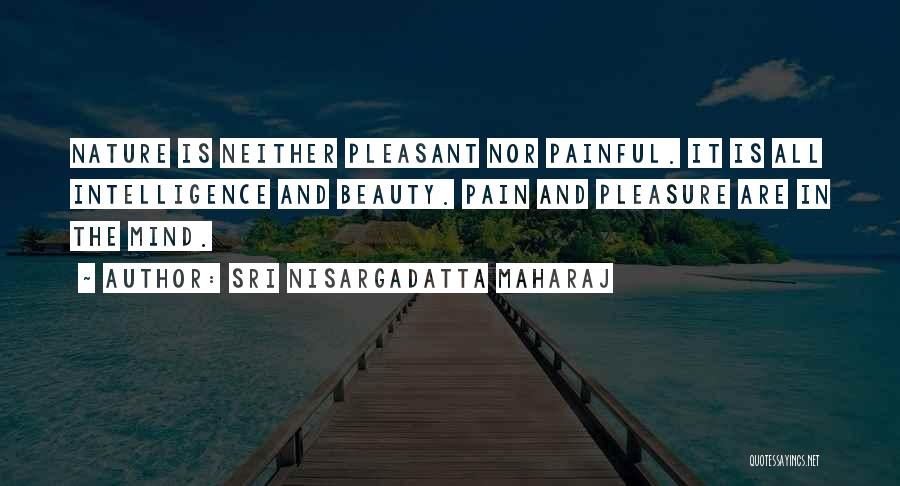 Beauty And Intelligence Quotes By Sri Nisargadatta Maharaj