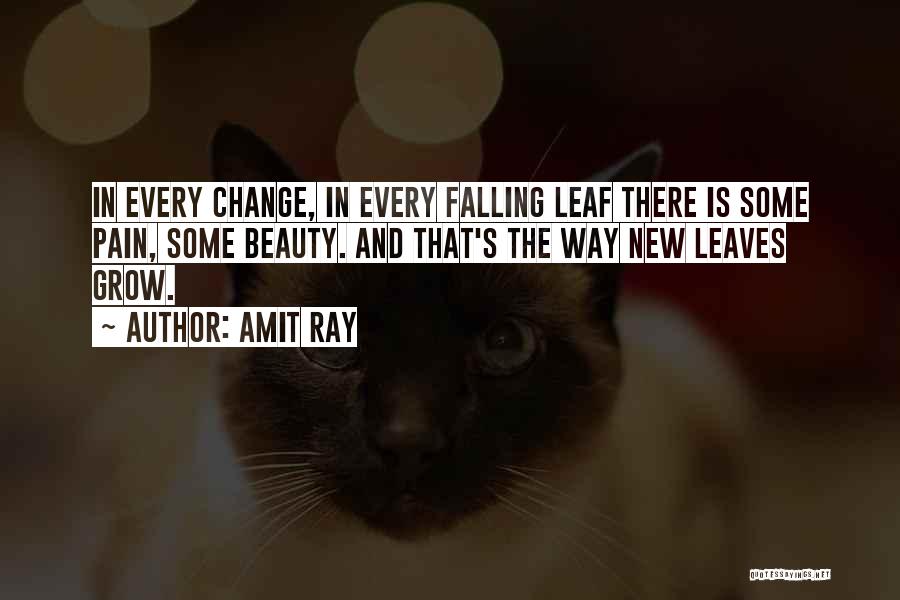 Beauty And Pain Quotes By Amit Ray