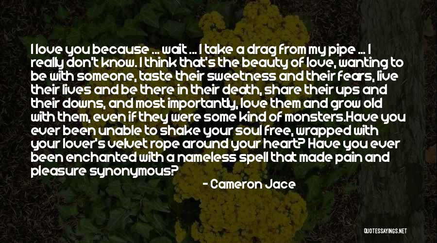 Beauty And Pain Quotes By Cameron Jace