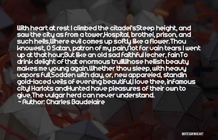 Beauty And Pain Quotes By Charles Baudelaire