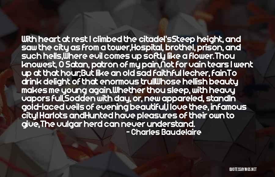 Beauty And Pain Quotes By Charles Baudelaire