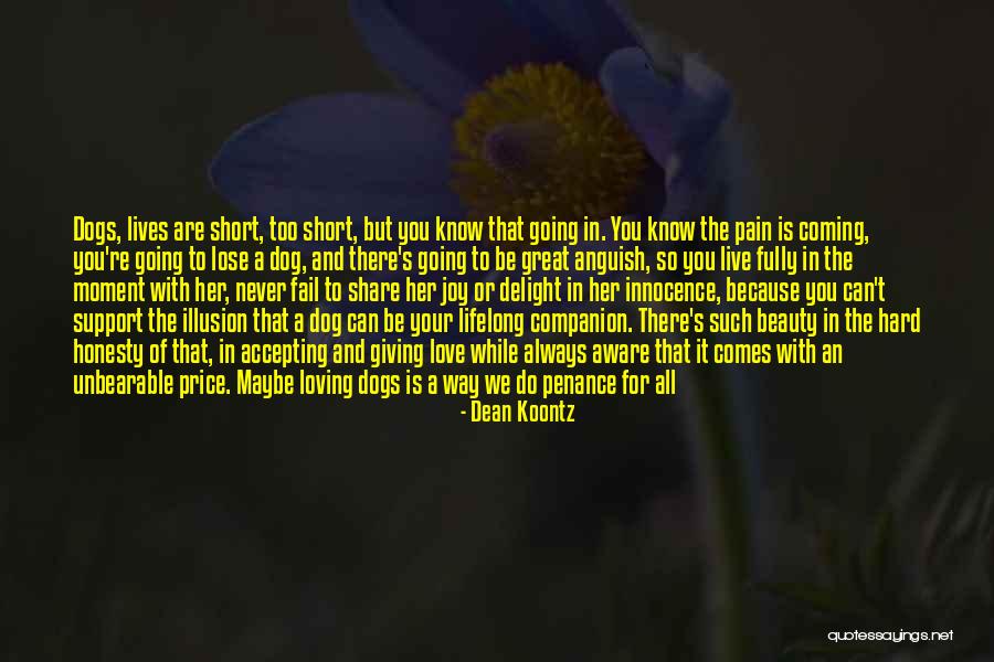 Beauty And Pain Quotes By Dean Koontz