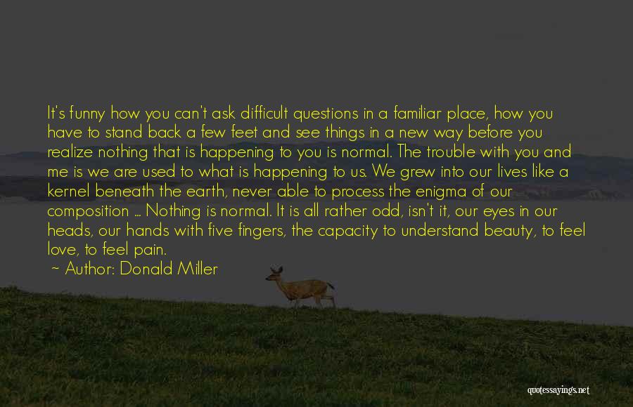 Beauty And Pain Quotes By Donald Miller