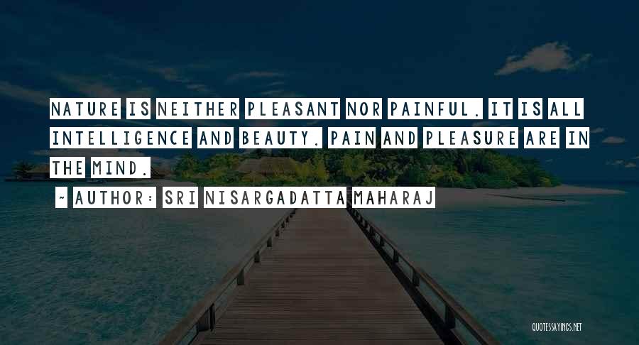 Beauty And Pain Quotes By Sri Nisargadatta Maharaj