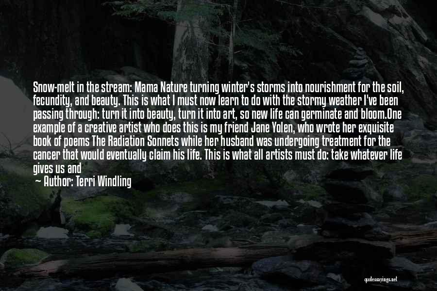 Beauty And Pain Quotes By Terri Windling