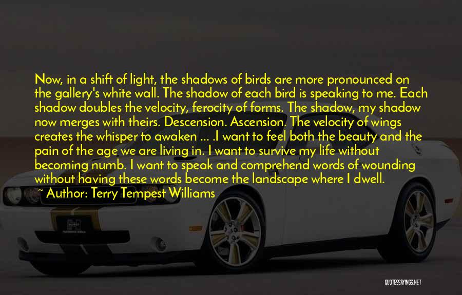 Beauty And Pain Quotes By Terry Tempest Williams