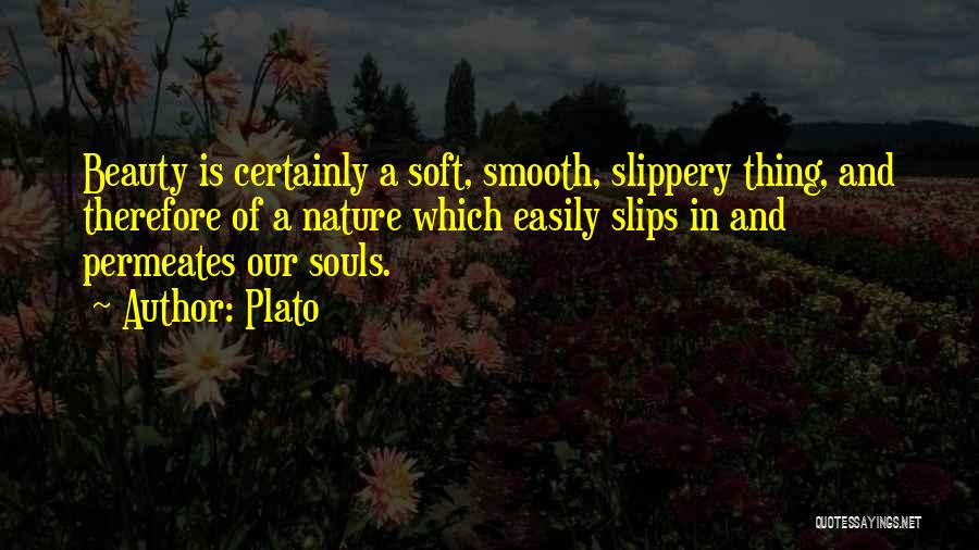 Beauty And Quotes By Plato