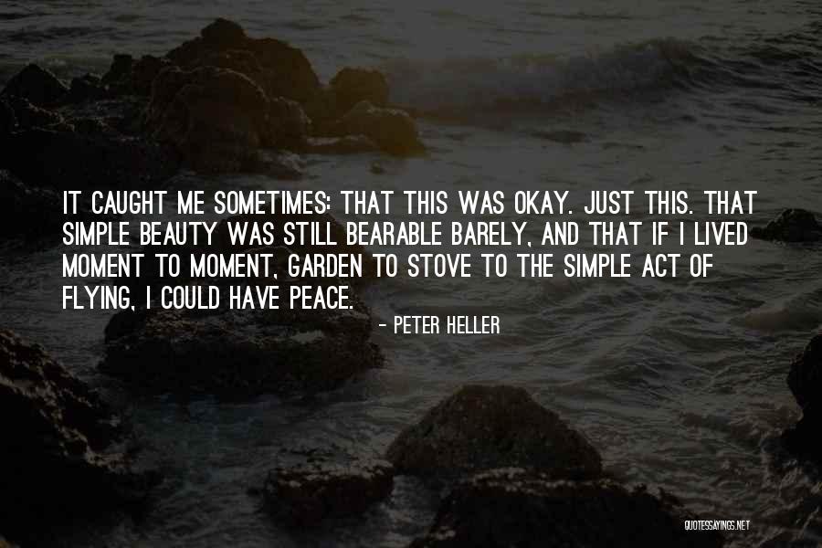 Beauty And Simple Quotes By Peter Heller